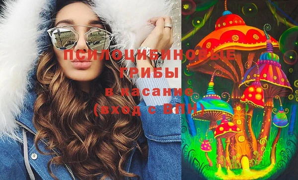 крисы Нязепетровск