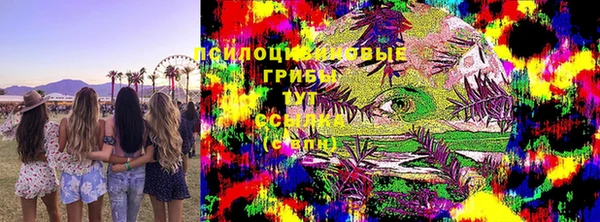 сатива Нягань