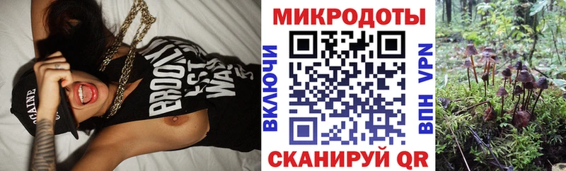 Галлюциногенные грибы прущие грибы  наркотики  Навашино 