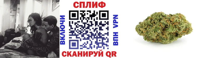 Шишки марихуана семена Навашино